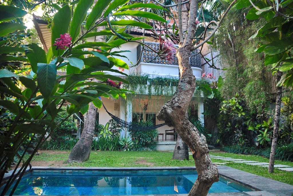 Tropical oasis right next to the beach