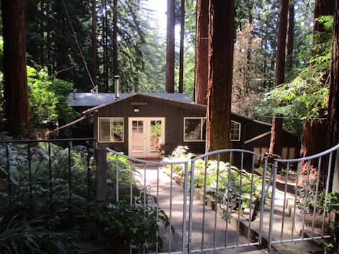 Rustic Redwood Cabin