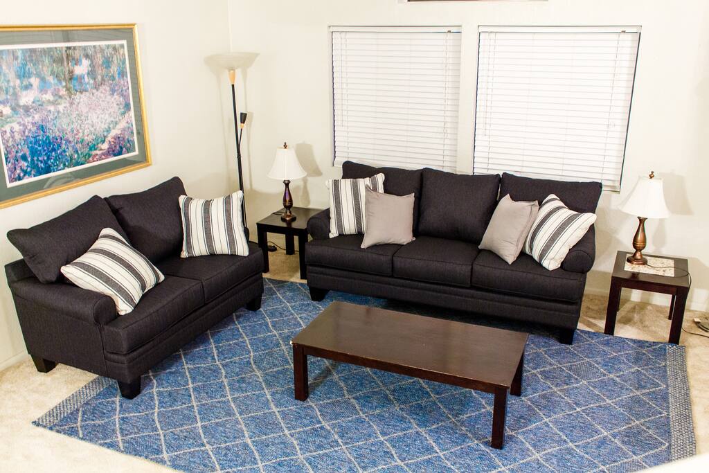 Front Living Room - New Rug and Sofas