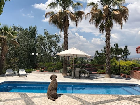 Ethnic Penthouse Apartment