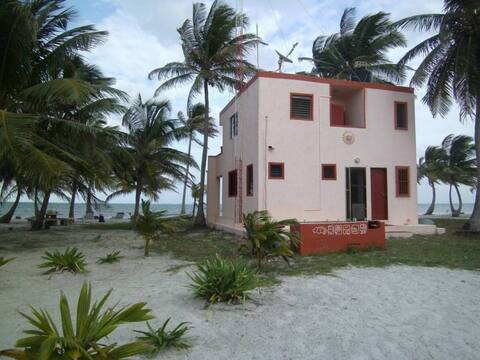 Ivy's Fish Lab(PRIVATE BEACH)