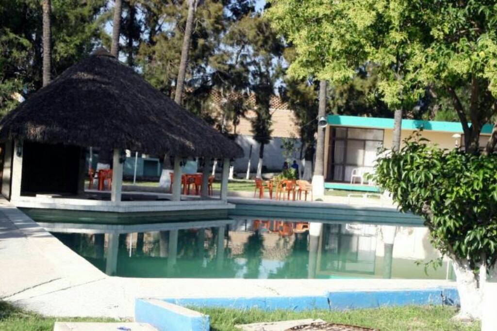 Swimming pool & gardens