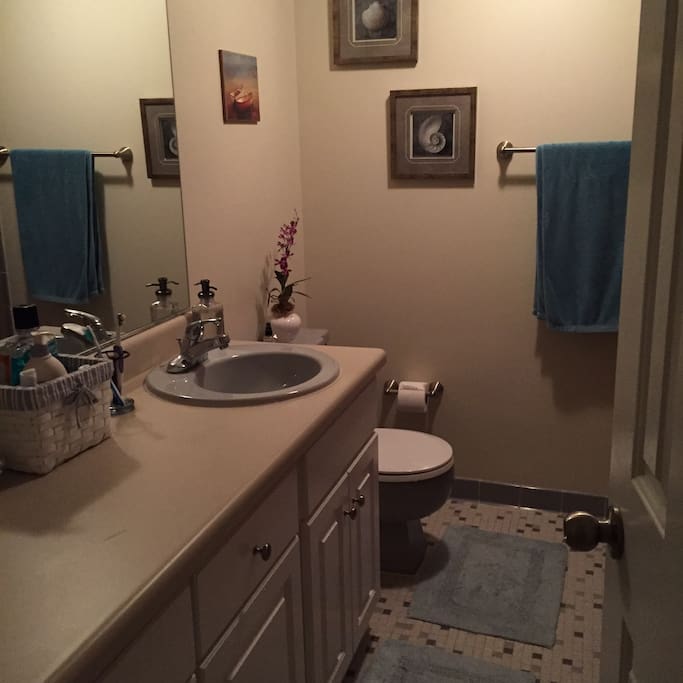 Large bathroom with shower and tub