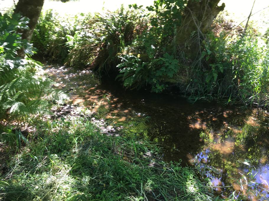 Creek out the front door