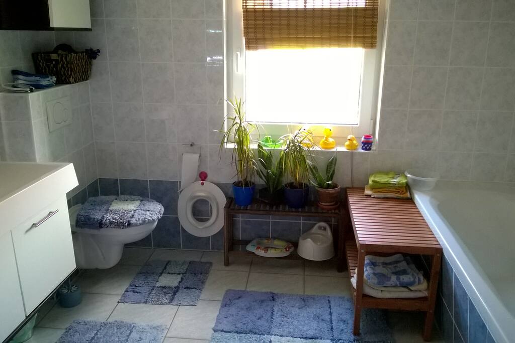 Badezimmer mit WC und Badewanne / bathroom with WC and bathtub