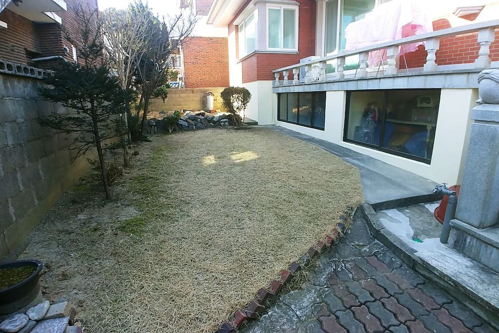 마당 front yard