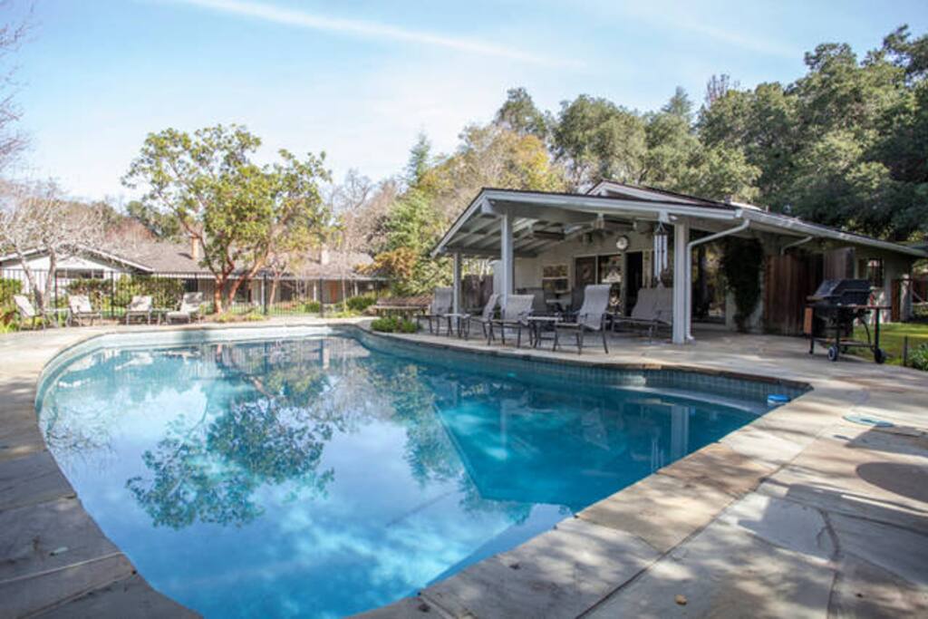 Pool in the backyard