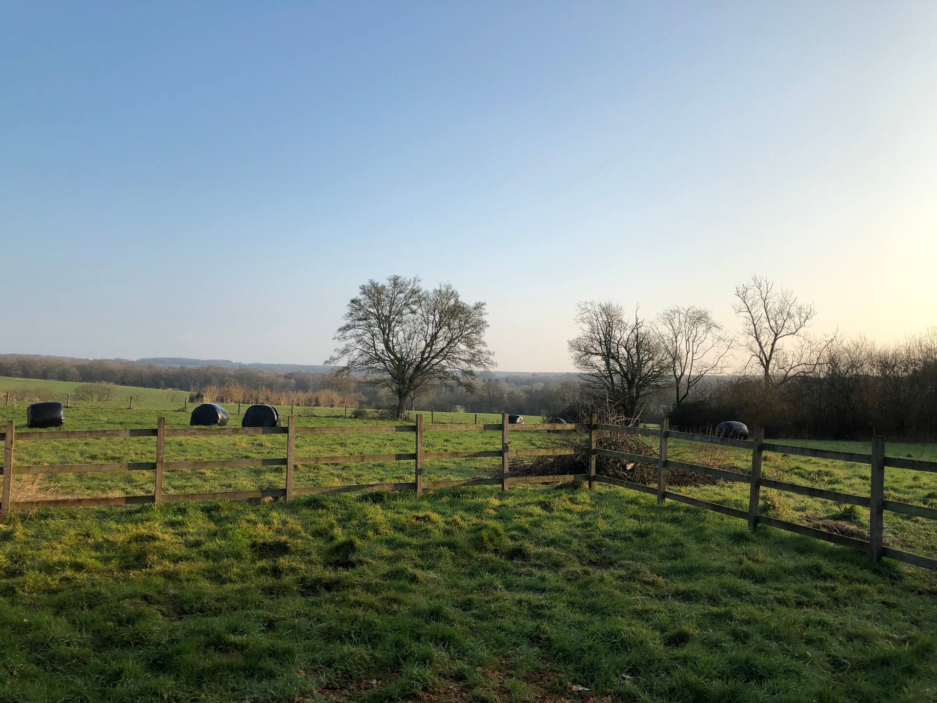 The Cowshed — photo 5