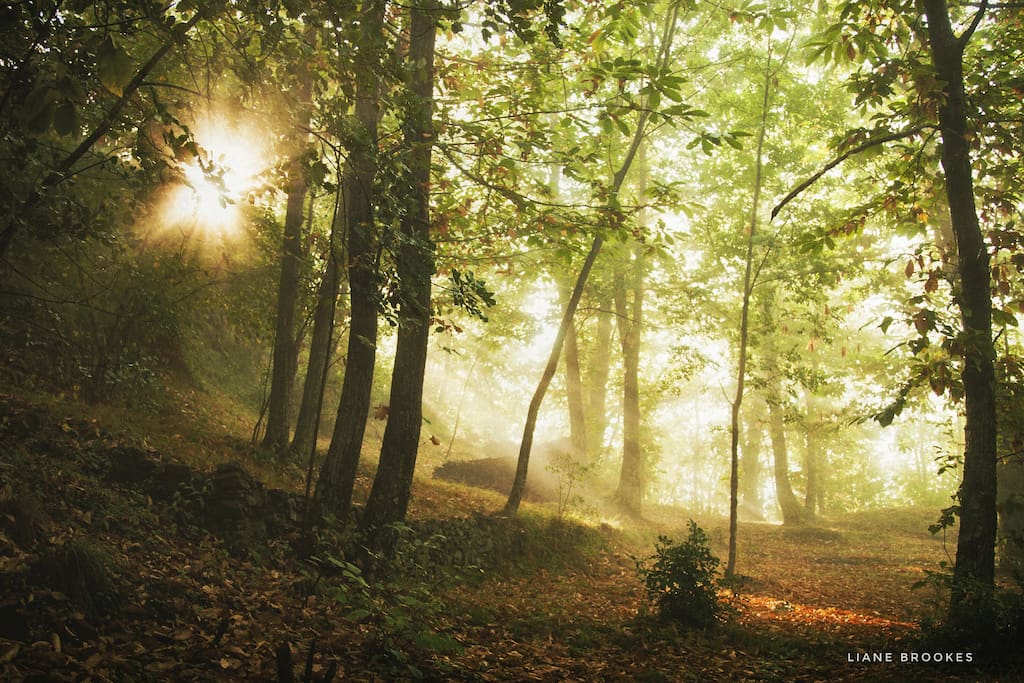 Autumn at Wild Camping Paladini