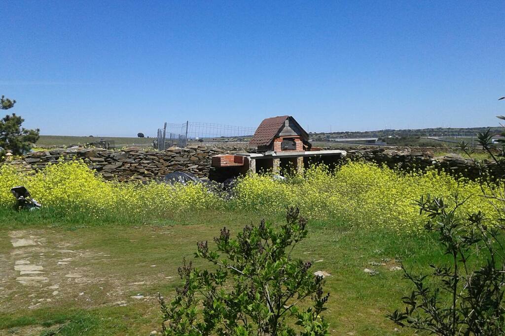 Primavera 2017