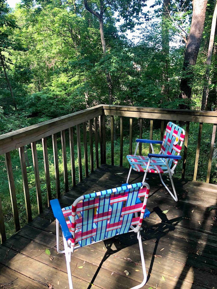10 Best PetFriendly Airbnbs In Boone, North Carolina Updated 2024
