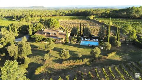 Le Mas: Provençal Escape in the Heart of the Vines