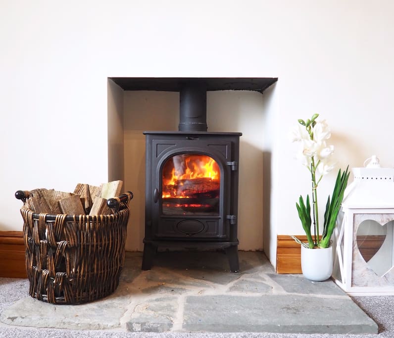 Log Burner in Lounge