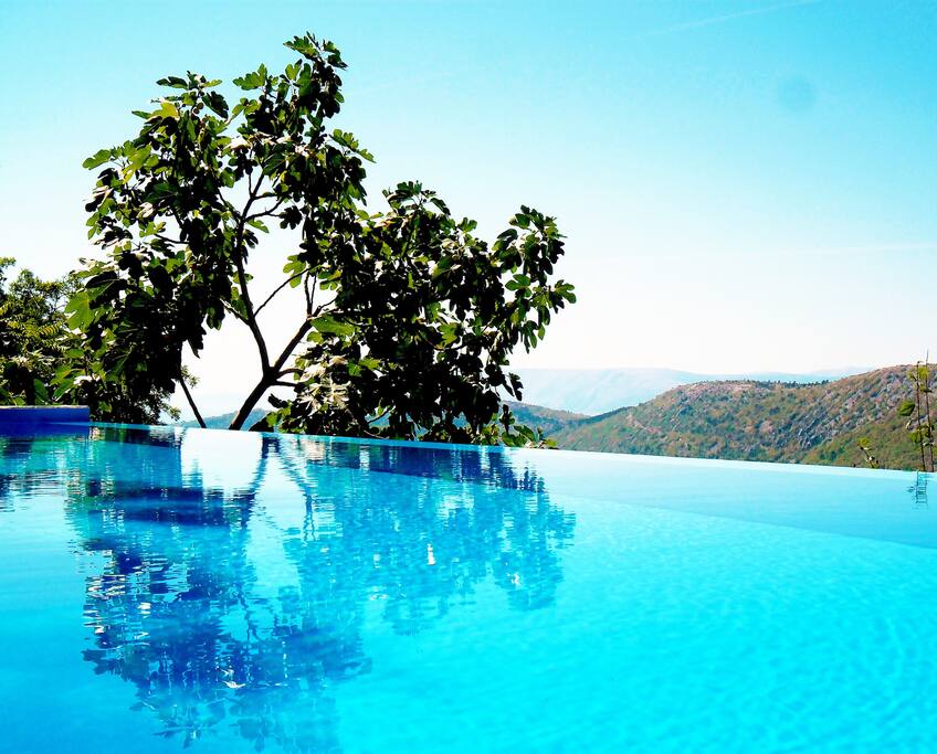 Endless pool...endless view