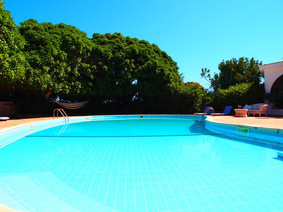 solarium e piscina a disposizione di tutti gli ospiti