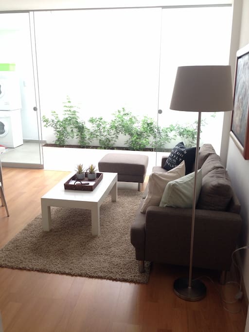Patio con plantas