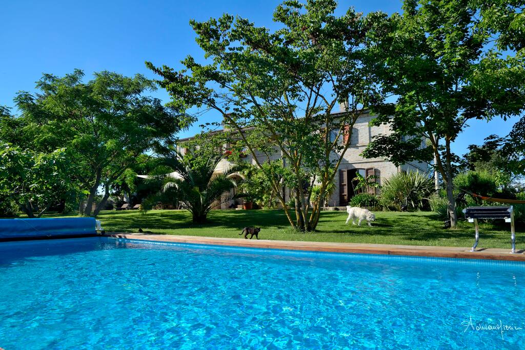 La piscina e la casa principale nello sfondo. Abbiamo un cane e diversi gatti che vivono nel giardino. - The swimming pool and the main house in the background. We own a dog and several cats, but they are outdoor pets.