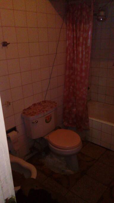 Fine toilet with jackuzi