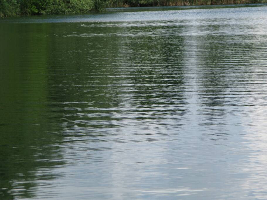 Silbersee=glasklarer Badesee in 12 Minuten mit dem (verleiharen) Fahrrad erreichbar