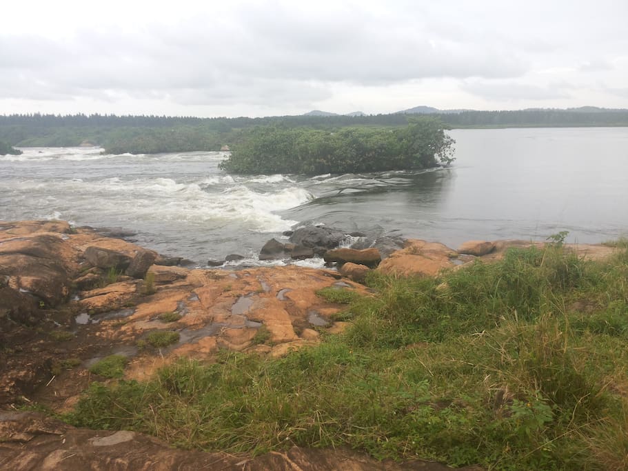 View of the White Rapids