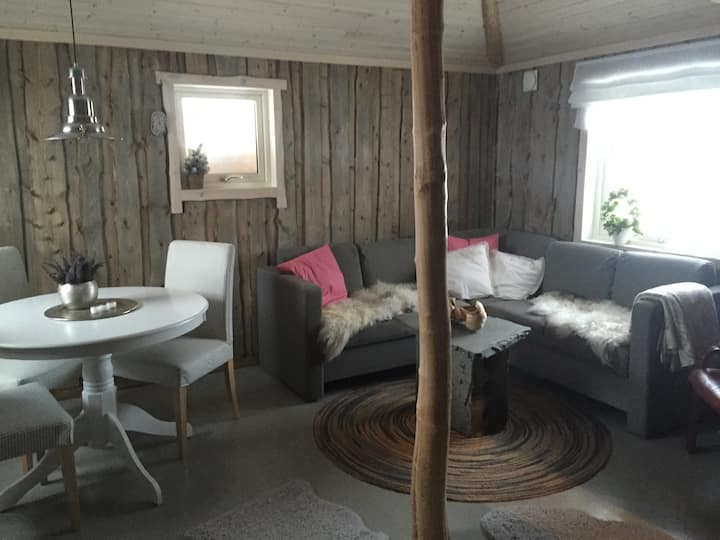 Sehemu ya sebule katika nyumba ya turf