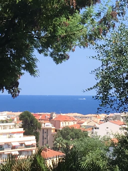 Vue depuis le studio,
800 mètres de la mer, à vol d'oiseau