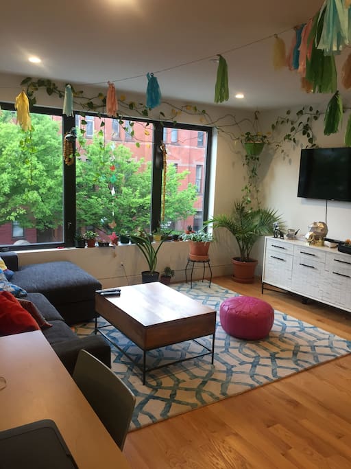another view of living room, loads of light