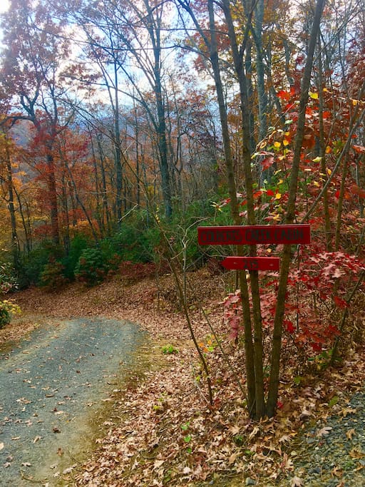 Colberts Creek Cabin sign at top of driveway, 4th driveway on the left on Heartland Lane.