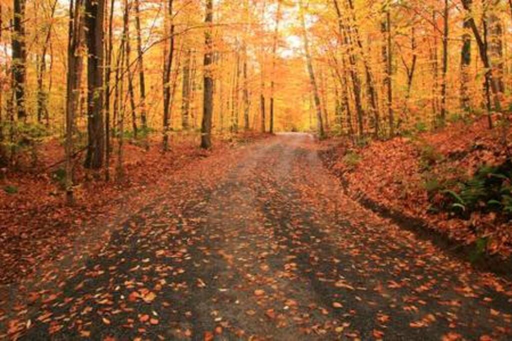 fall