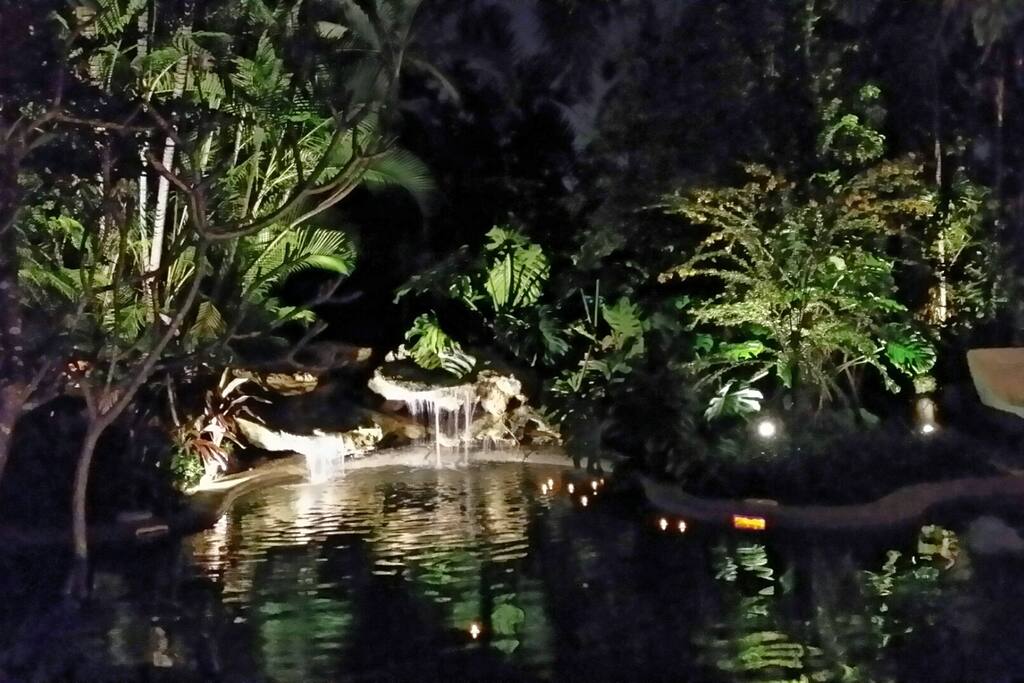 Night Garden view