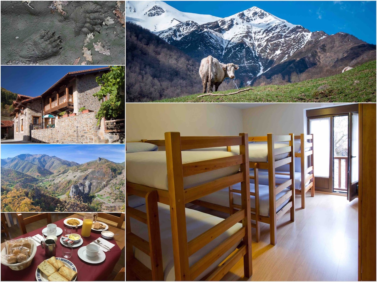 A serene mountain landscape showcases snow-capped peaks under clear blue skies, with a cow grazing in the foreground. A spacious dormitory area is furnished with wooden bunk beds, accentuated by natural light streaming from large windows overlooking rolling hills and valleys.