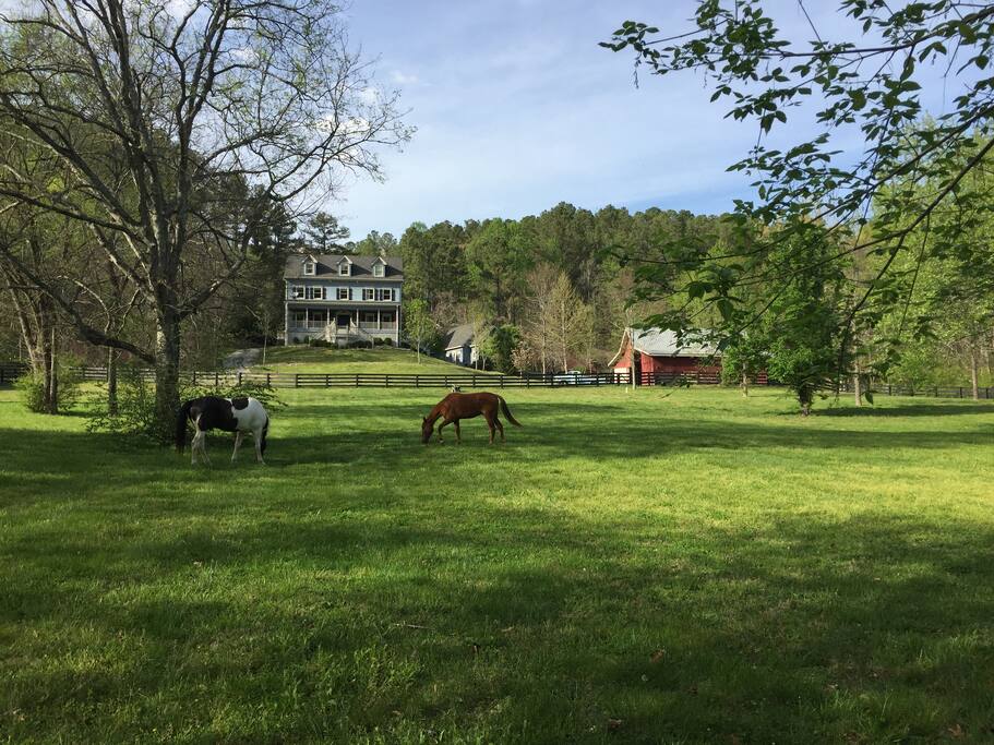 *horses not included
