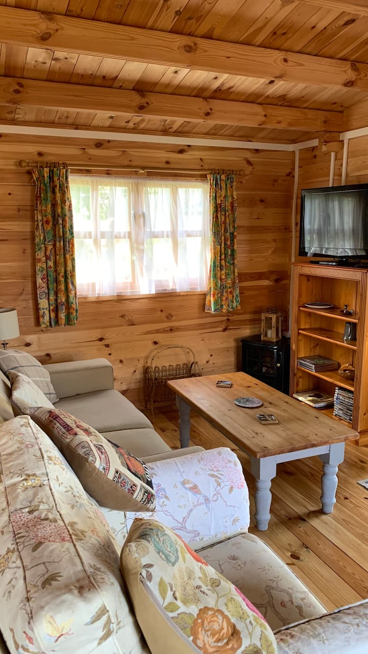 هذا يظهر منطقة المعيشة ، حيث يوجد سرير الأريكة. 