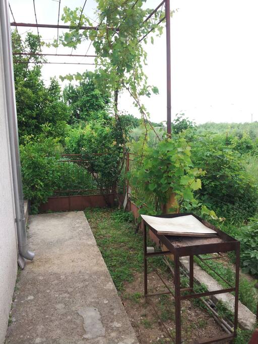 Yard with grill