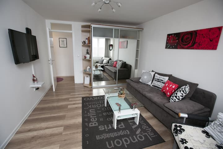 Vili Apartment Sarajevo Free Parking - Sarajevo