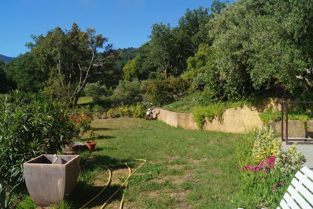 Une partie du terrain