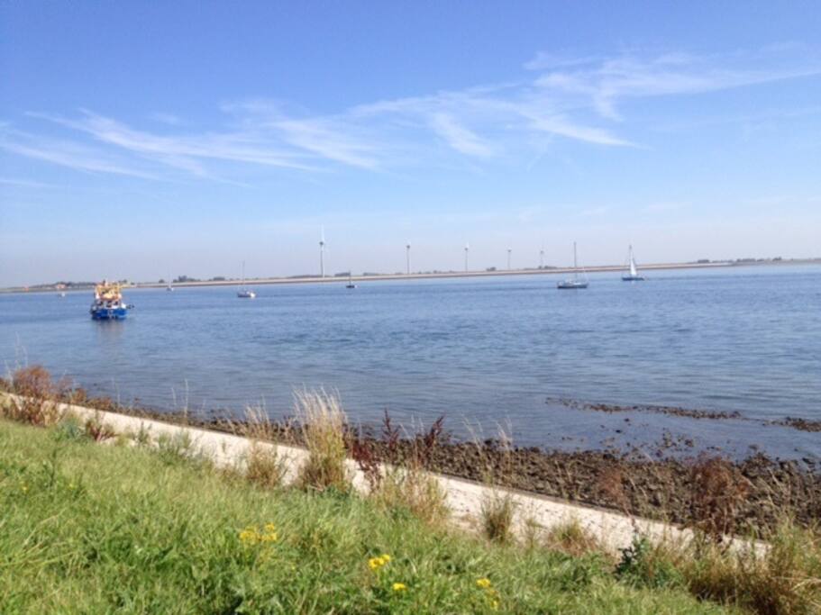 Oosterschelde waar je heerlijk in kunt zwemmen