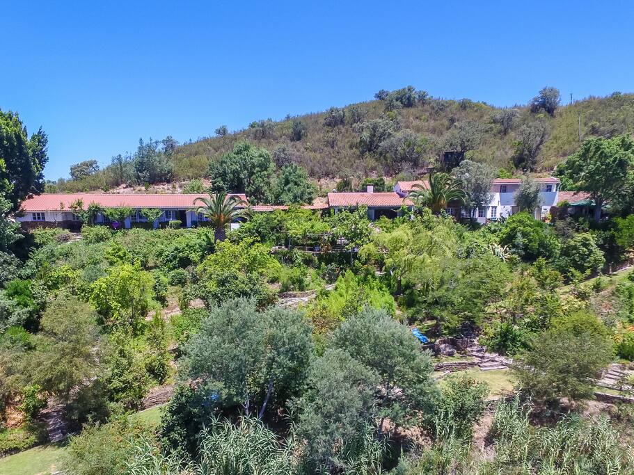 Drone view of the Quinta's lush gardens