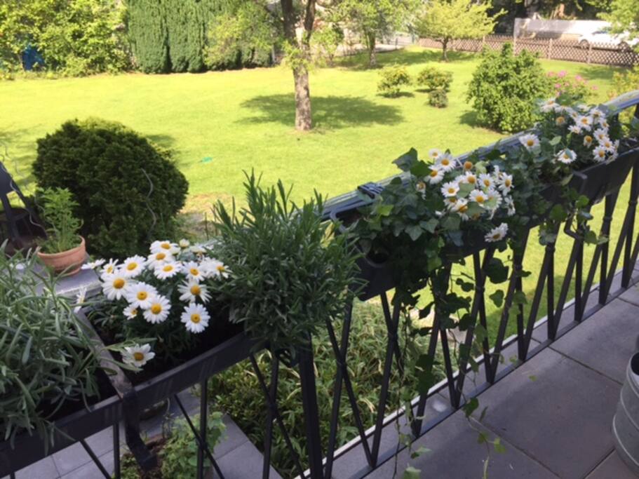 Blick in den Garten aus der Lounge