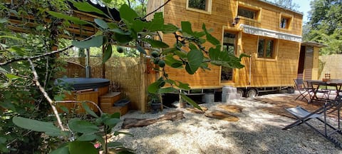 Mini house and its Nordic bath