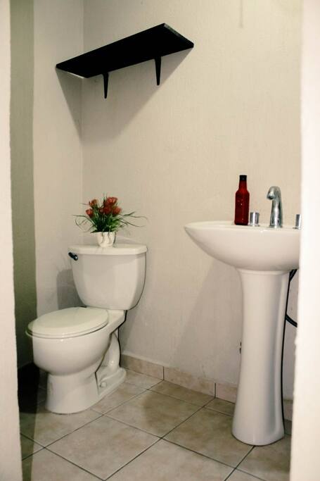 baño_ lavabo y regadera.