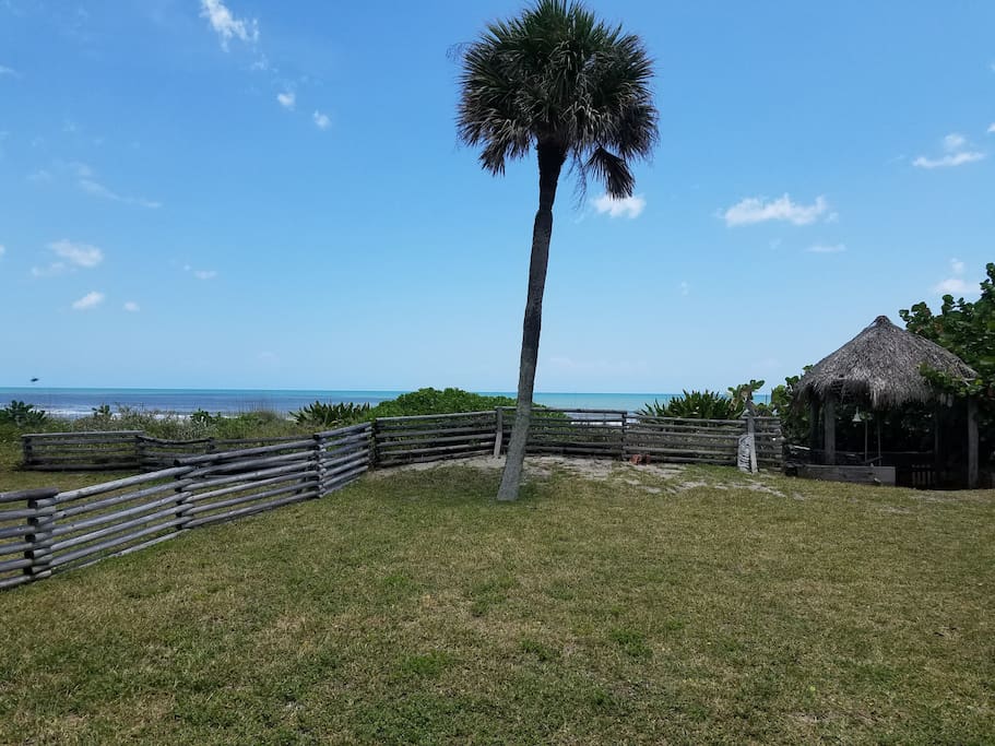 Direct oceanfront HOUSE steps to the beach!