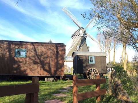 Traumwagen an der Mühle