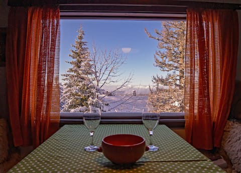 Cosy winter cabin "Anzulović"