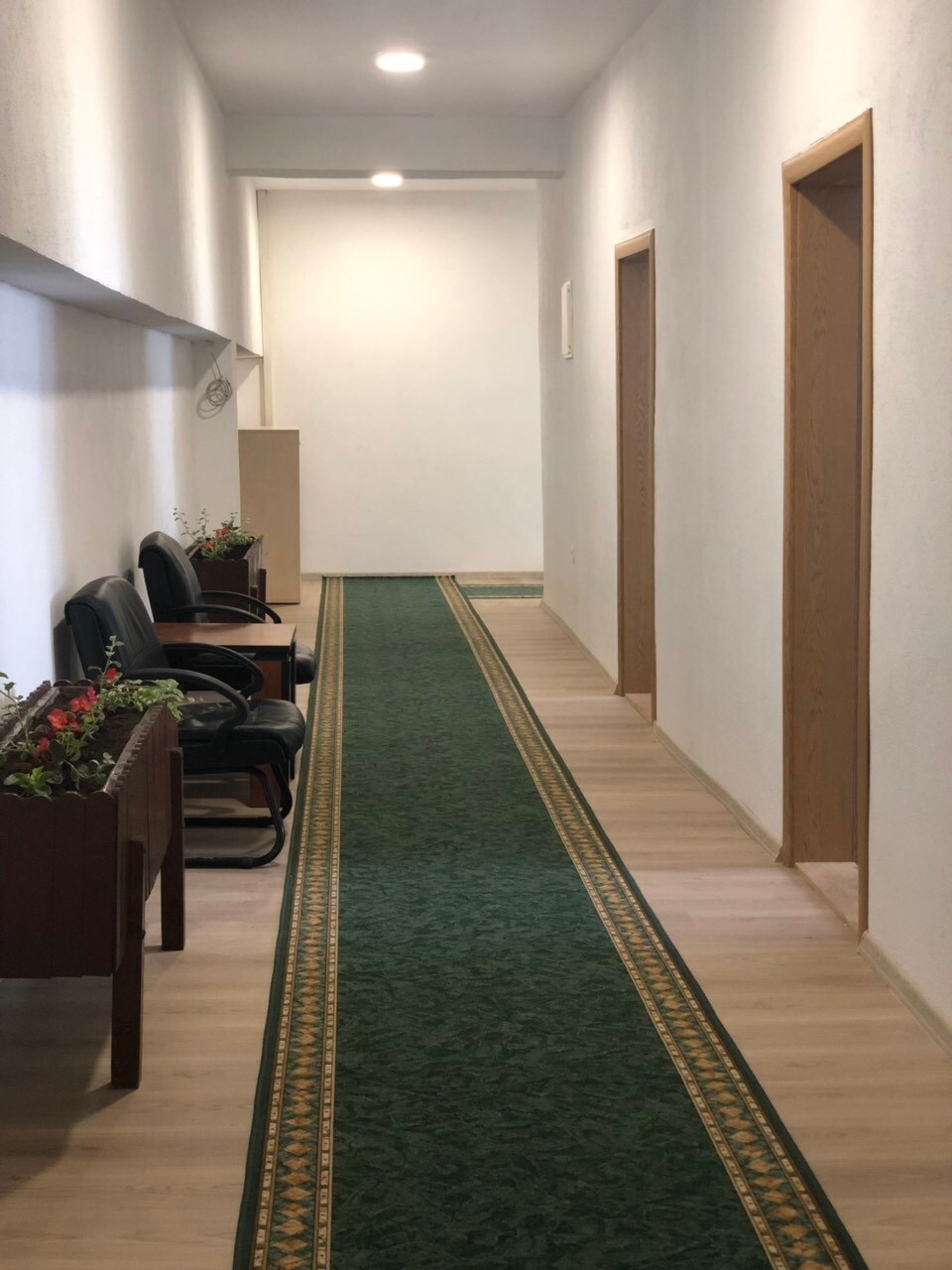 A well-lit corridor is lined with a green carpet featuring a decorative trim. Dark wooden chairs are placed along the walls, accompanied by small planters holding various plants, enhancing the welcoming atmosphere. Doorways lead to private rooms on either side.