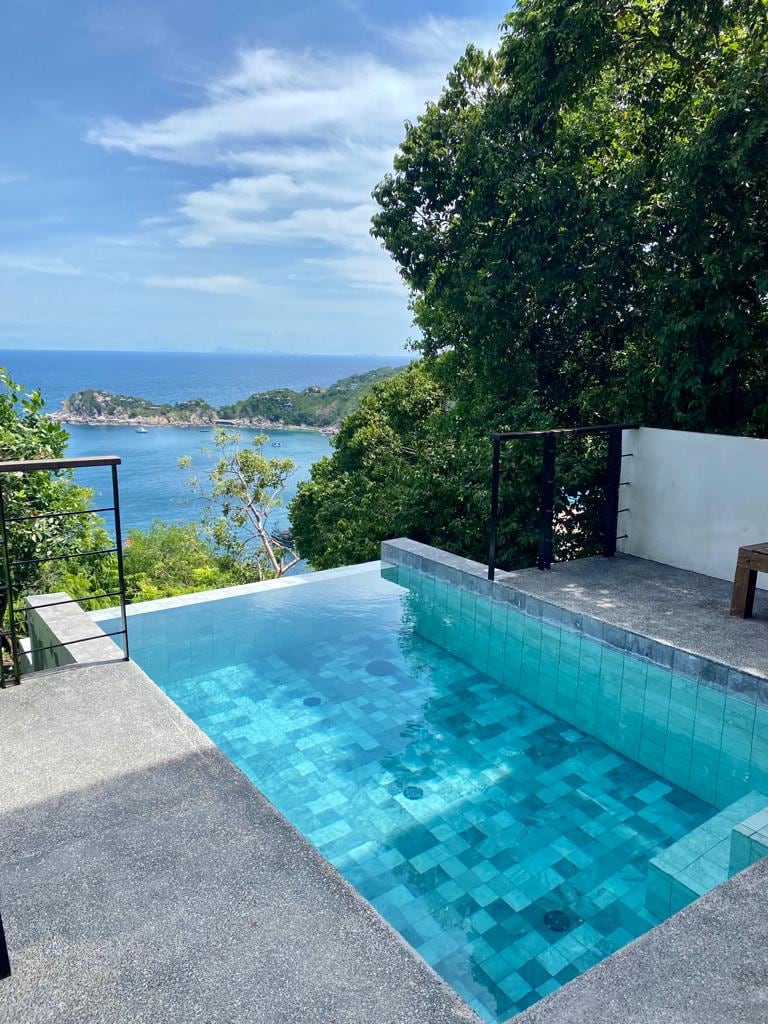 A serene pool reflects the clear blue sky, surrounded by lush greenery. The edges of the pool seamlessly blend with the landscape, offering a view of the bay and distant coastline.