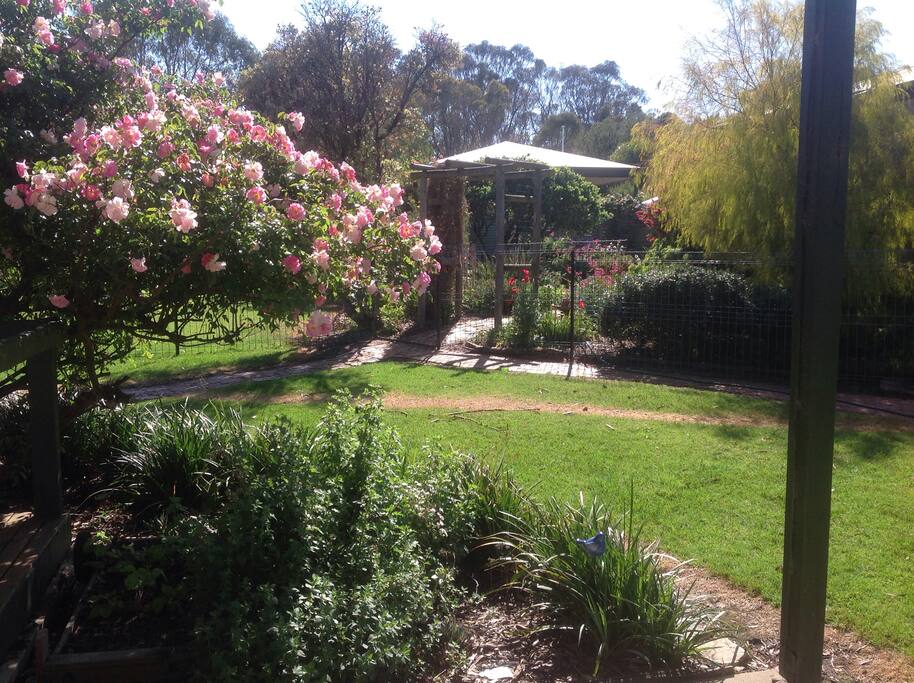 Lovely garden views and fenced yard