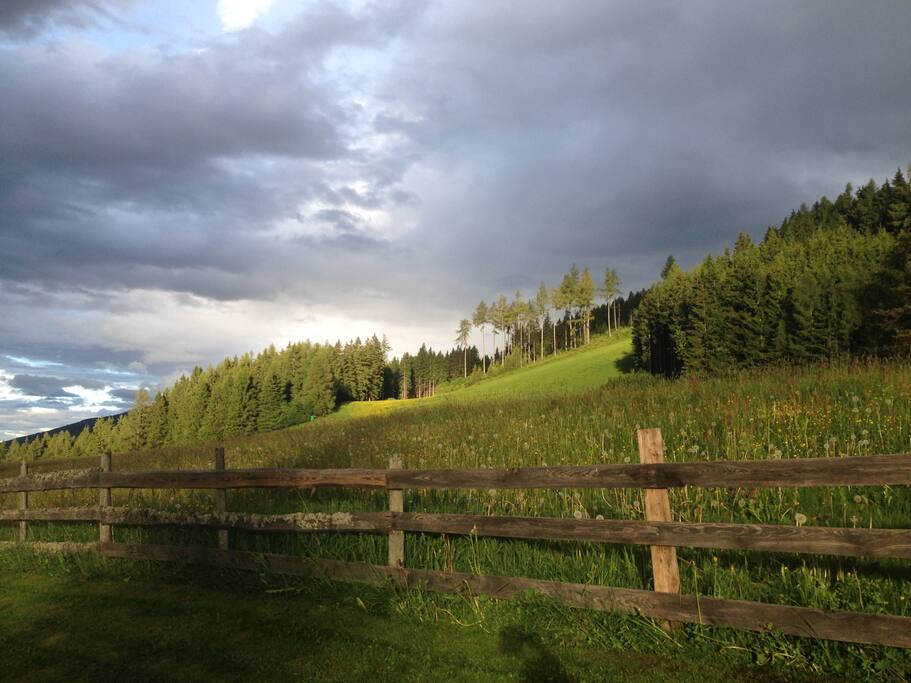 Hinter dem Haus