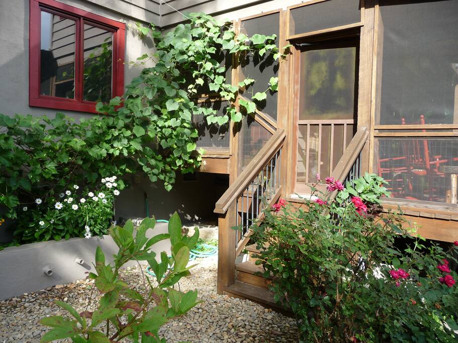 Screened porch that connects with the rental suite