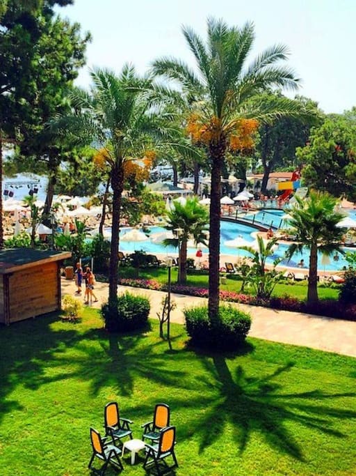 yemyeşil çimler,havuz,palmiye ağaçları ve deniz manzarası